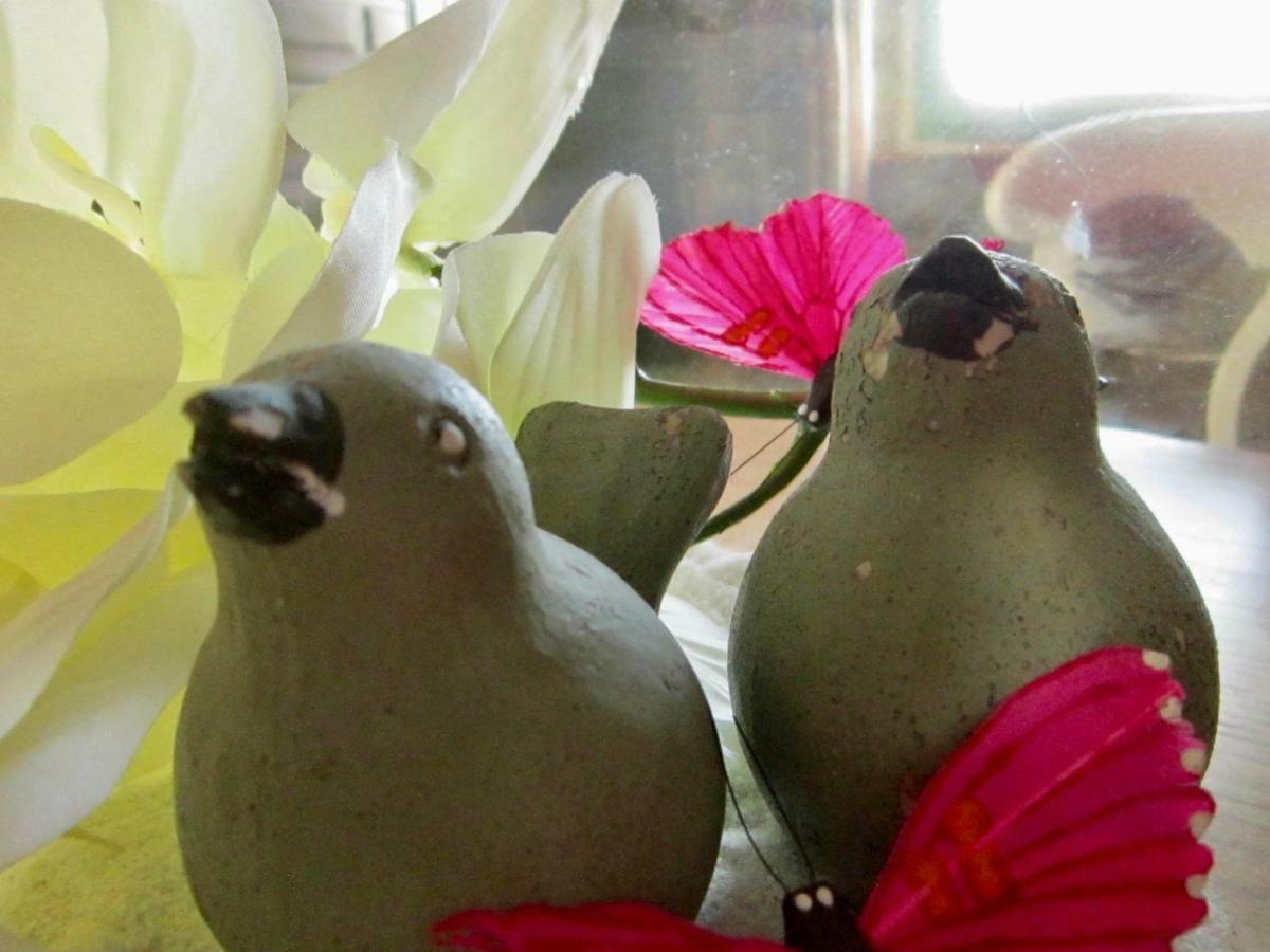 Les 5 Petits Lapins Panzió Bar Kültér fotó